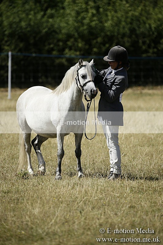 _EP59149 - Roving Camera BVRC Show 2018