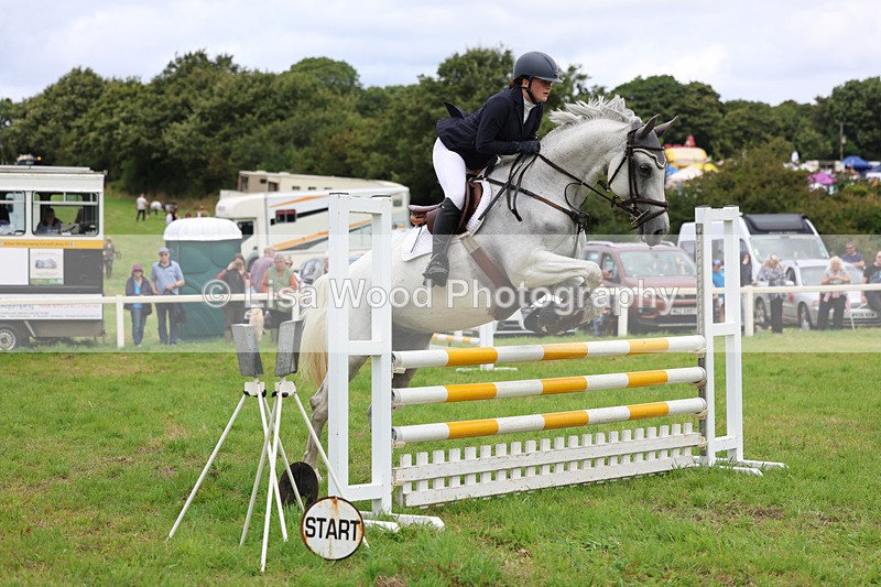 3E7A7063 - Class 5: Senior British Novice/90cm open
