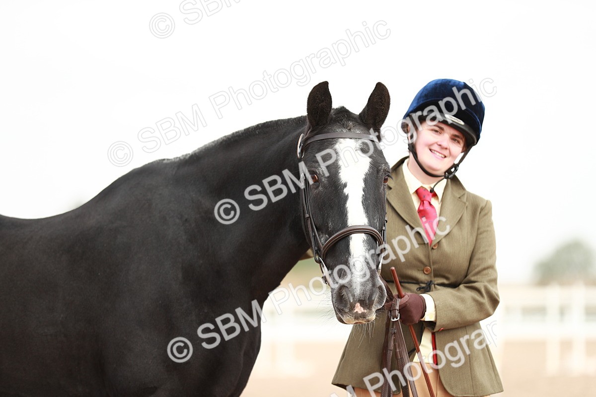 SBM_11888 - Class 206 IH Non Show Type Pony