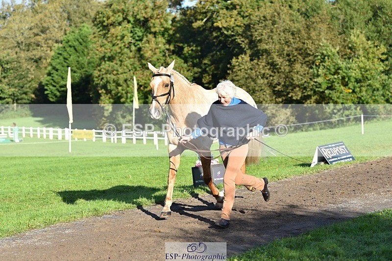 231022-100210-22198 - 612-CORRIEVIEW.MERLIN.MAGIC-Jane.Rogers-TrotUp+SJ