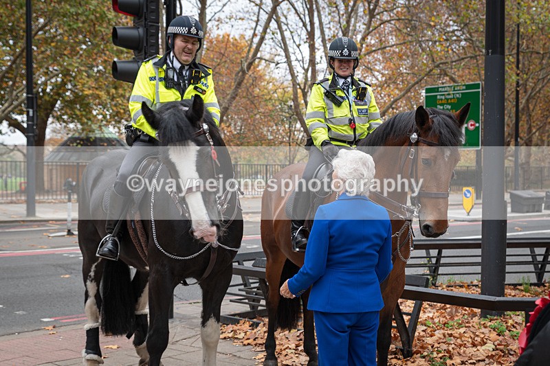 Z62_4506 - Animals In War Memorial 2025 - Park Lane, London
