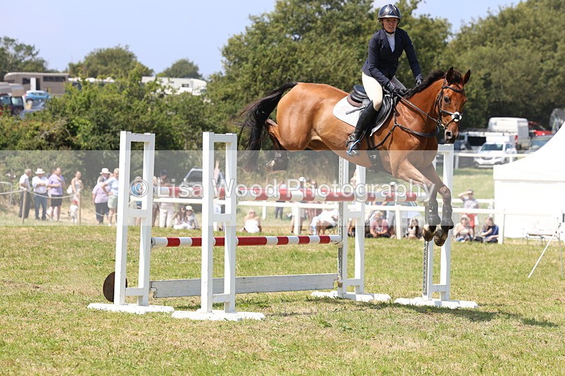 3E7A3340 - Class 10: Senior Foxhunter/1.20 open