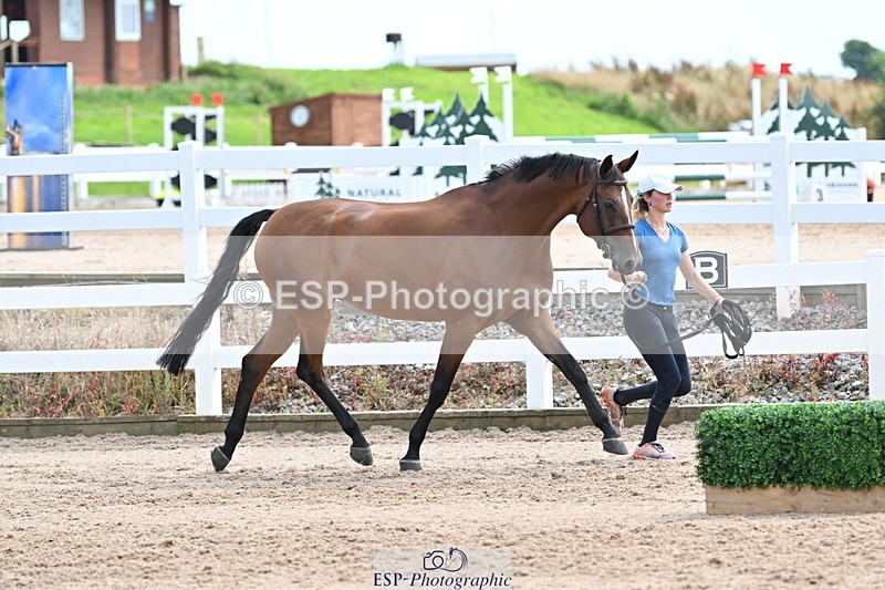 240717A-142838-02082 - Trot Up 2pm to 3pm - This folder is not in time order