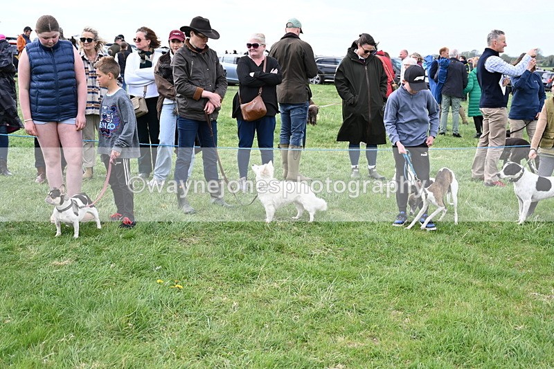 WJ6_8409 - Class 6 Best Rescue