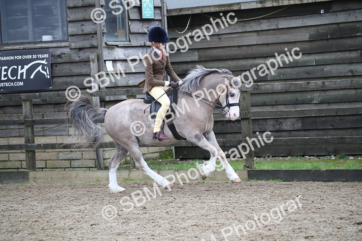 SBM_005923 - Class 10-13 - RIHS Small Large Breeds
