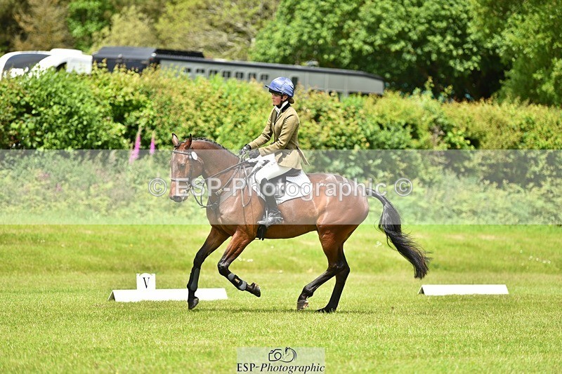 240523B-125250-02279 - 5 Year Old