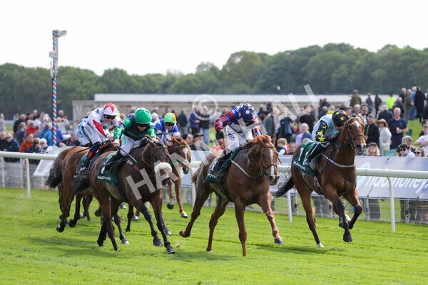 yr12052022r3-23 - Race 3 3.00pm The Paddy Power Hambleton Stakes