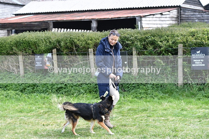 WJ5_0721 - Best in Show Championship