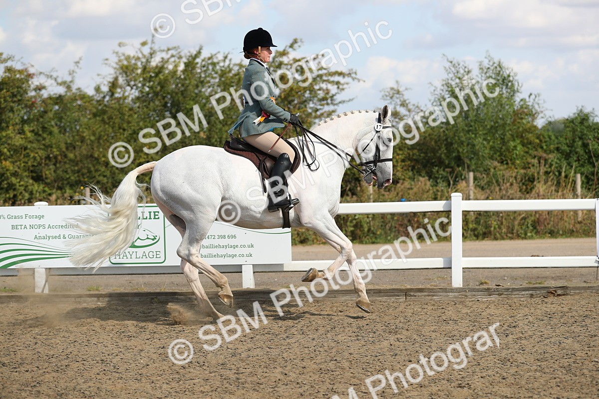 SBM_03309 - Class 44 Riding Club Horse/ Pony