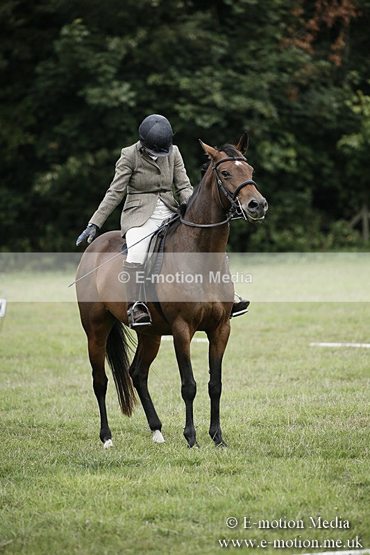 BVR090918 50 - BVRC Dressage and Show Jumping 09/09/18