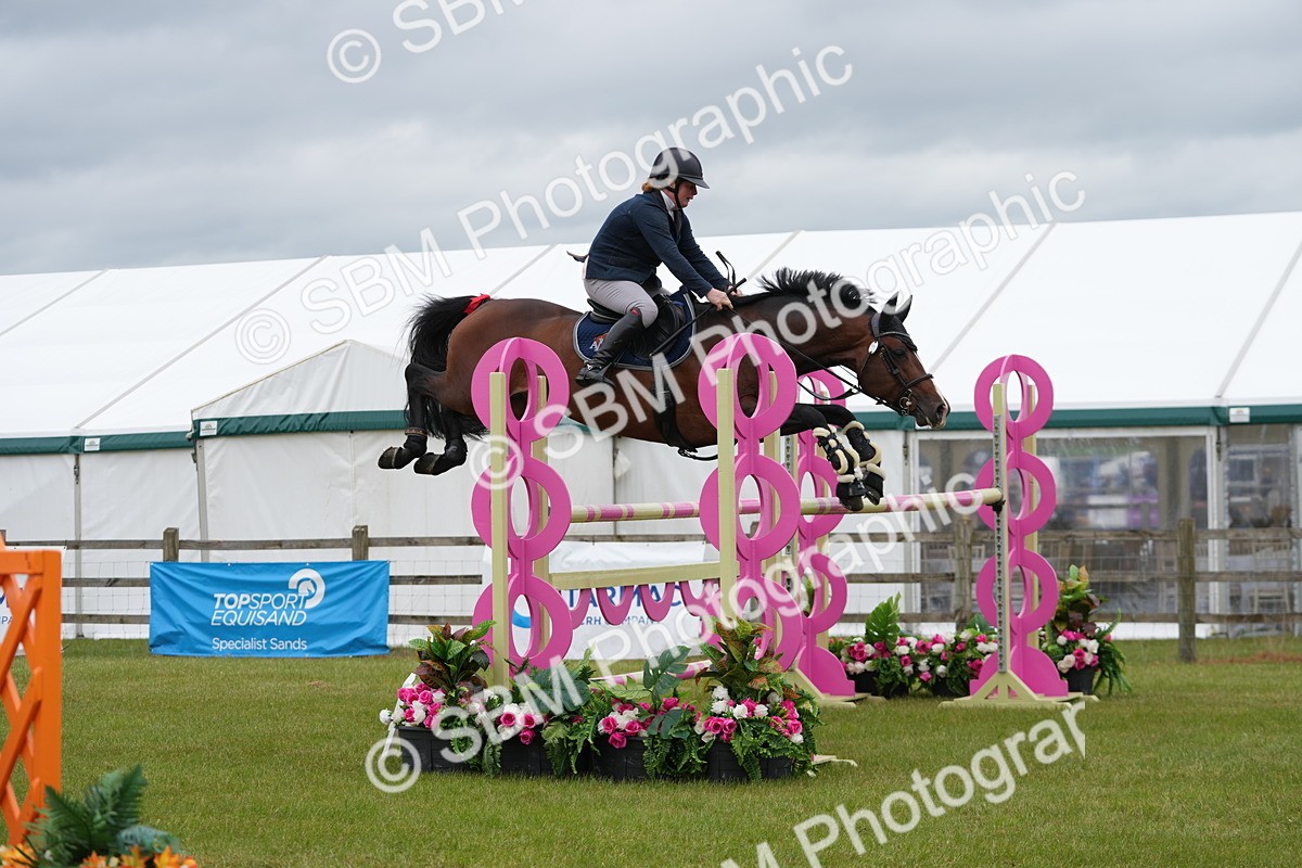 SBM_03344 - Class 201 - British Horse Feeds Speedi Beet Horse of the Year Show Grade  C