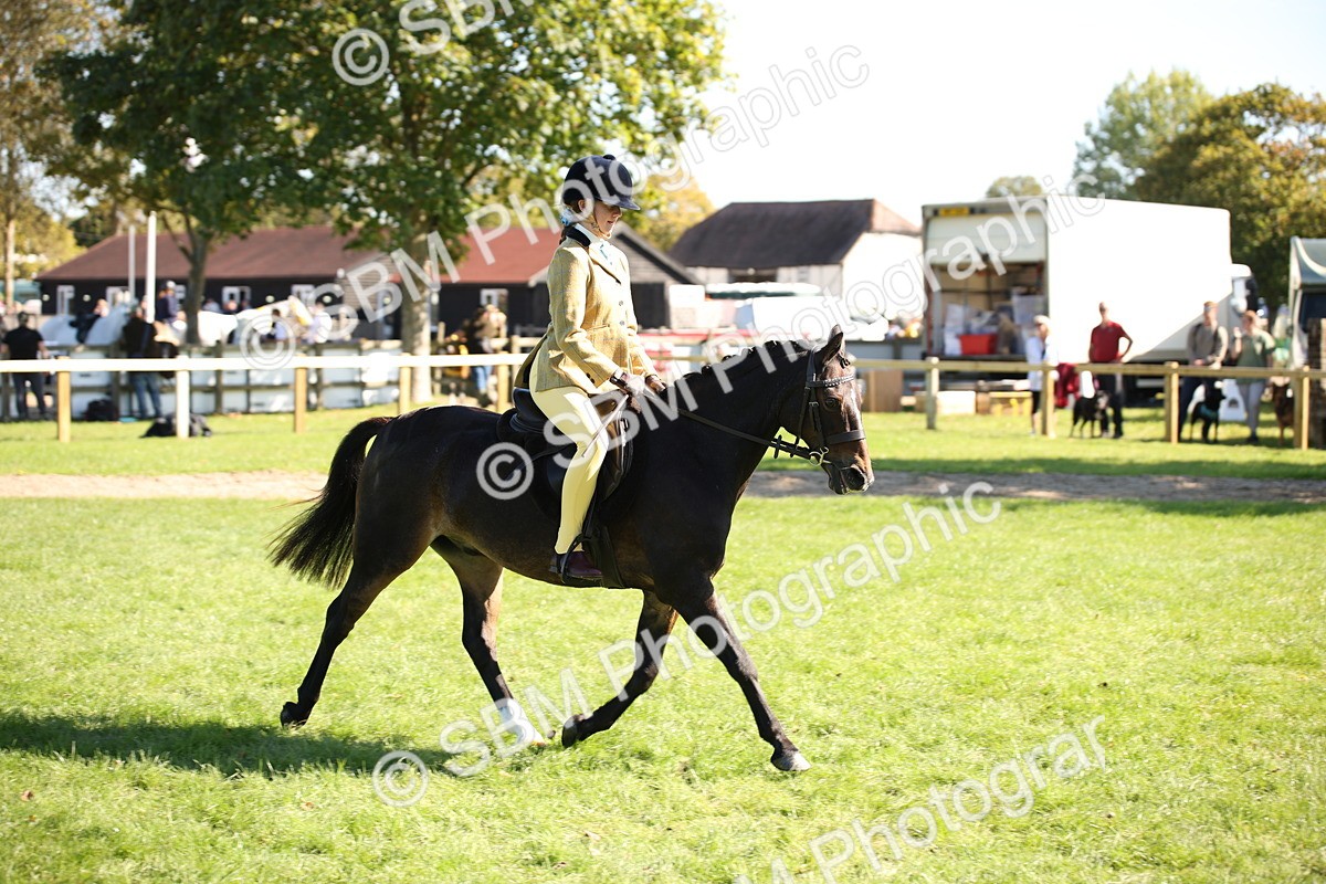 SBM_39015 - S11 - Best Ridden Horse & Pony