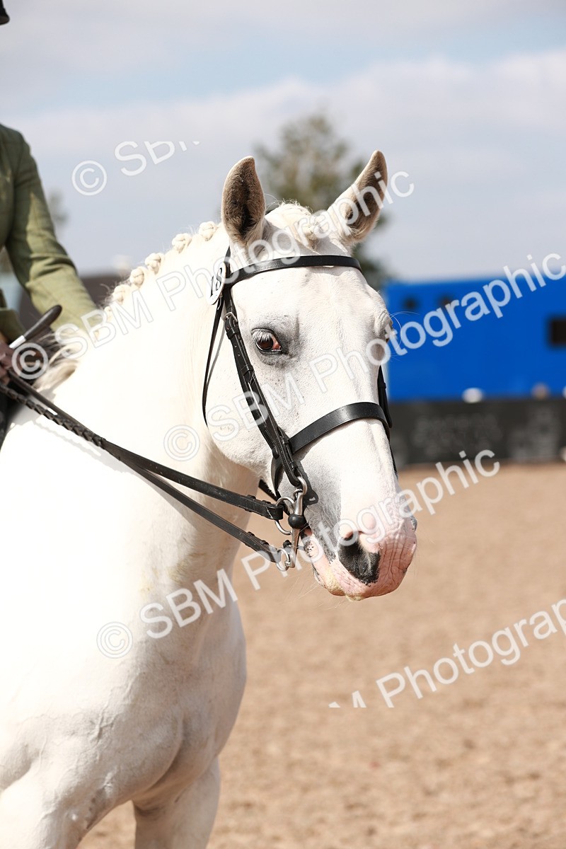 SBM_14883 - Class 212 Ridden Hunter - Small