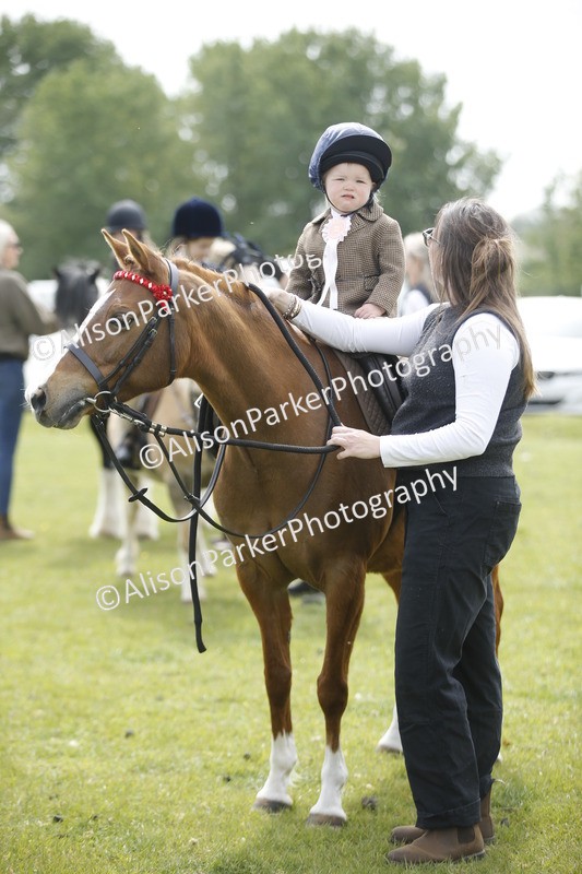 20260426-1975 - Class 8 - Prettiest Mare