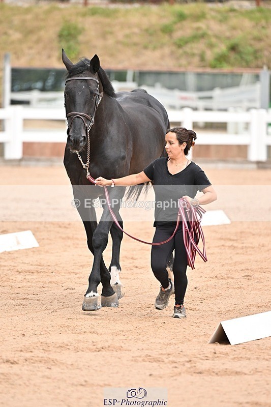 250716-150938-01702 - Trot Up 2.30 to 3.30