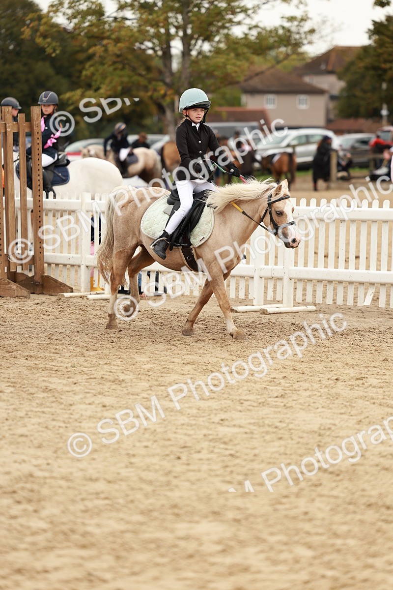 SBM_57919 - J11 - Junior Pony 50cm Championship