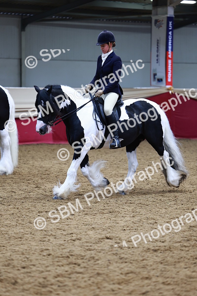 SBM_23465 - class 906 - Supreme Final - Ridden Pre Vet
