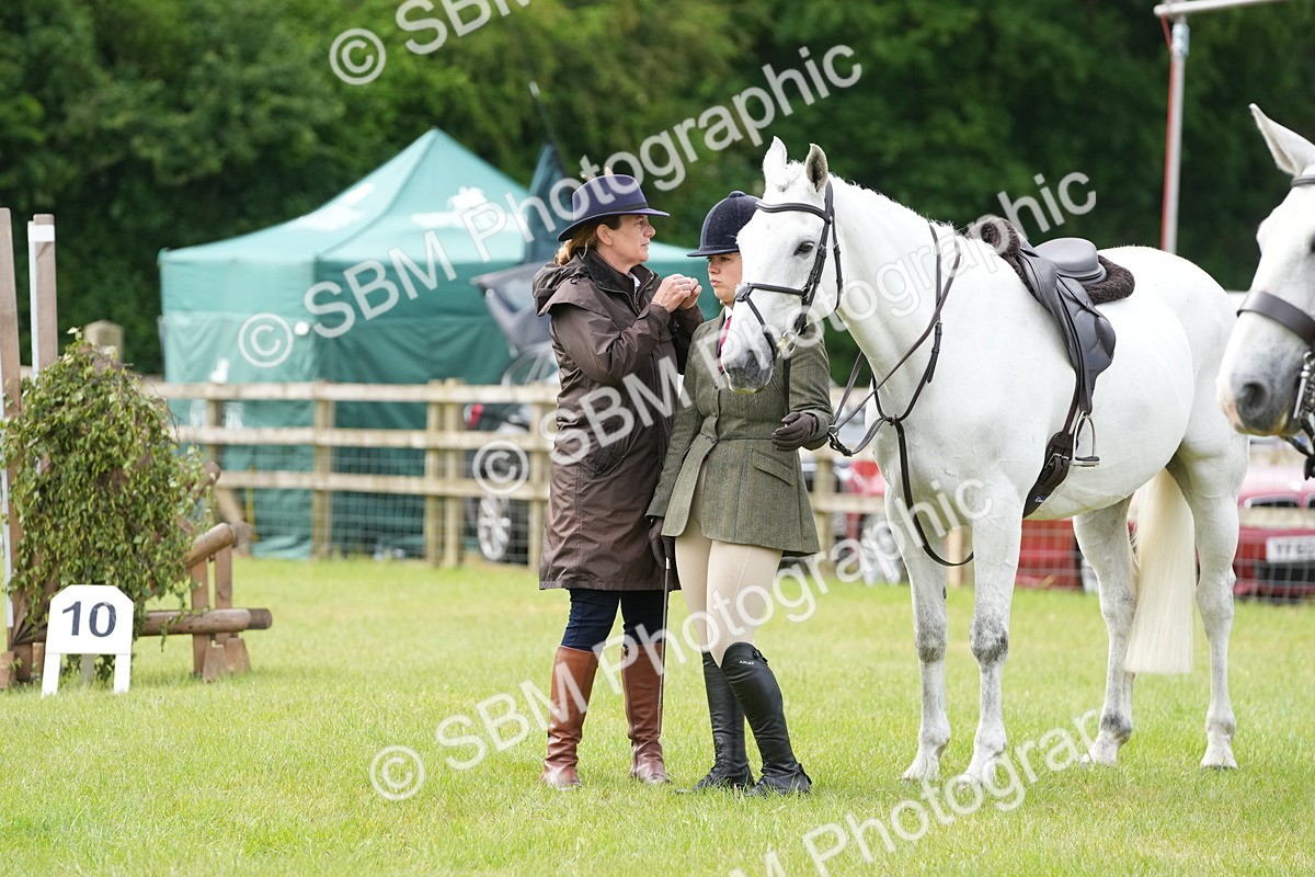 SBM_12754 - Class 97-98 - LIHS BSHA Rising Star Working Show Horse Hunter