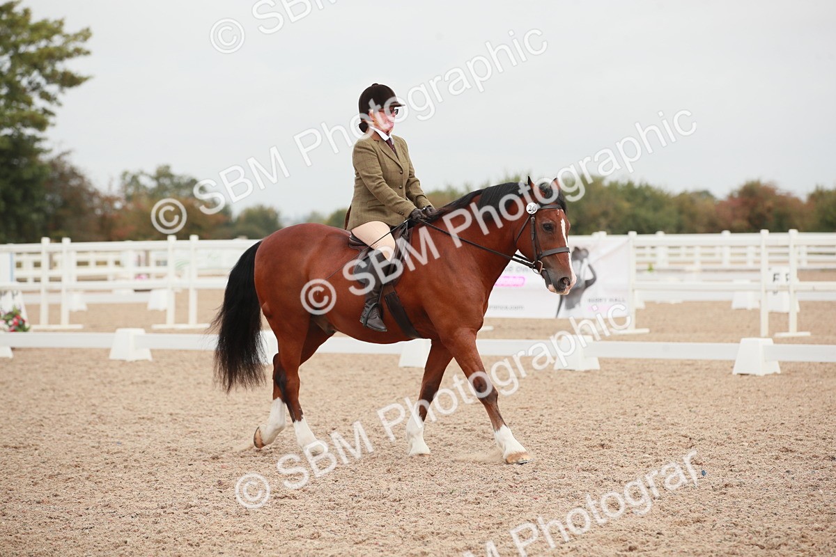 SBM_00824 - Class 30 - Intro 1