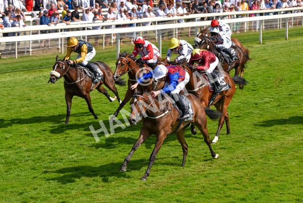 160623-Race 5-Harvanna-6377 - Race 5 4.10pm Juddmonte British EBF Fillies' Restricted Novice Stakes