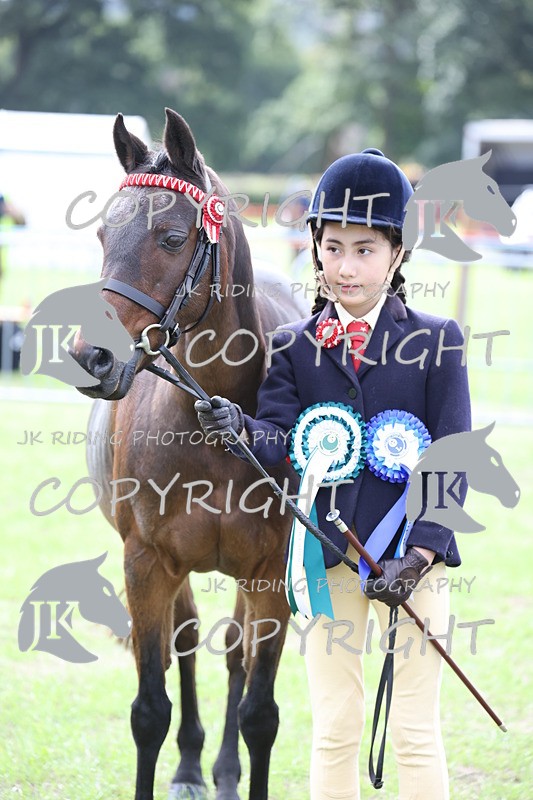 APP_2660 - Class 9 Veterans in hand