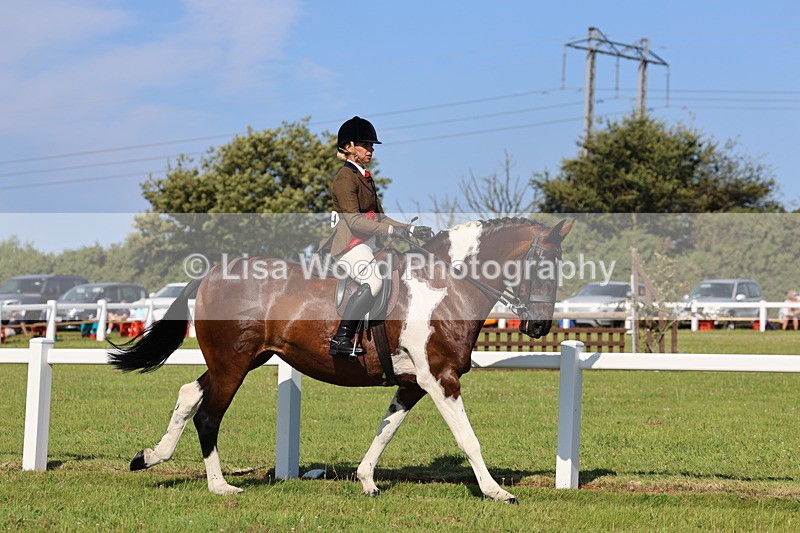 IMG_1626 - Skewbald and Piebald Ridden Championship