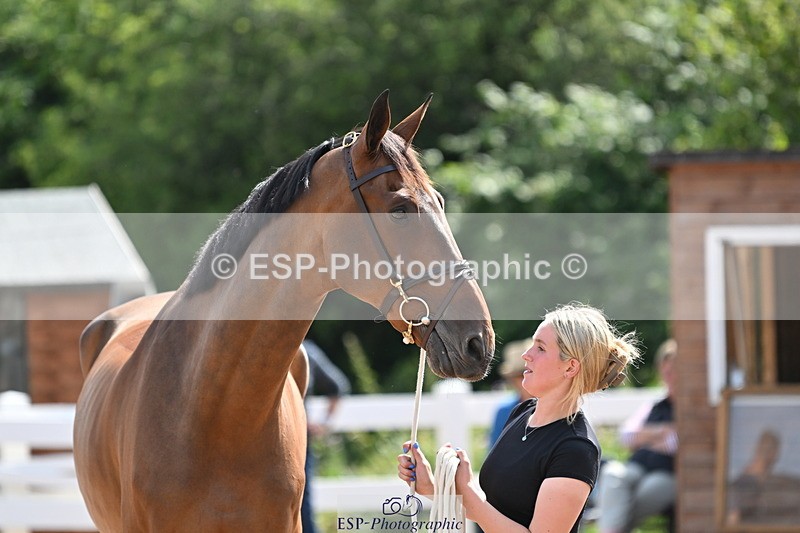 240717A-154414-03021 - Trot Up 3pm to 4pm