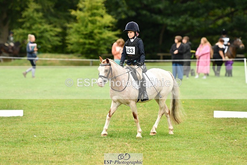 250820A-104058-04696 - Start to 11am