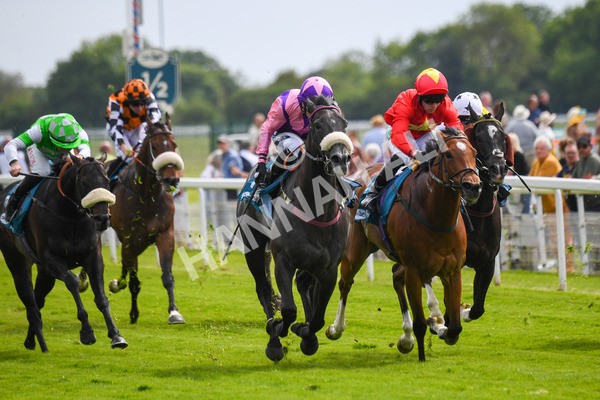 170523-Race 3-Azure Blue-0443 - Race 3 3.00pm 1895 Duke of York Clipper Logistics Stakes