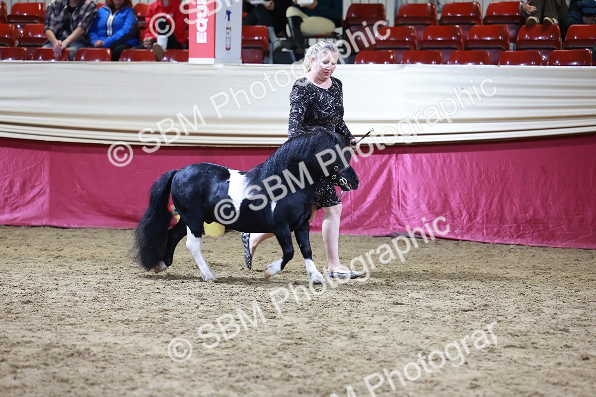 SBM_20809 - Class L - Coloured Champ