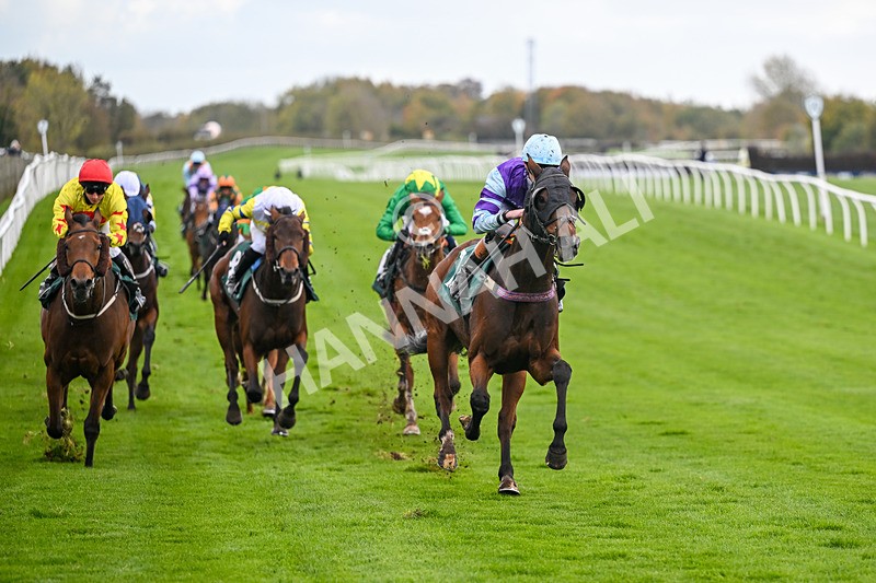 281025-Race 4-Evocative Spark-1520 - Race 4