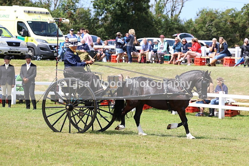 3E7A2658 - Class 12: Open Driving