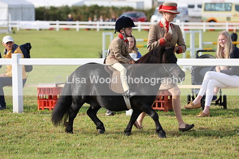 JPP_0295 - Class 14: Cornish Combination Leading Rein