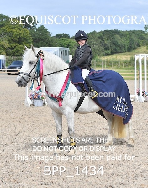 BPP_1434 - DERBY CLASS 2 - 30CM