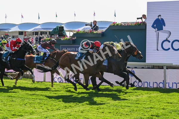 140525-Race 5-Rare Change-2741 - Race 5 4.18pm Conundrum HR Consulting Handicap