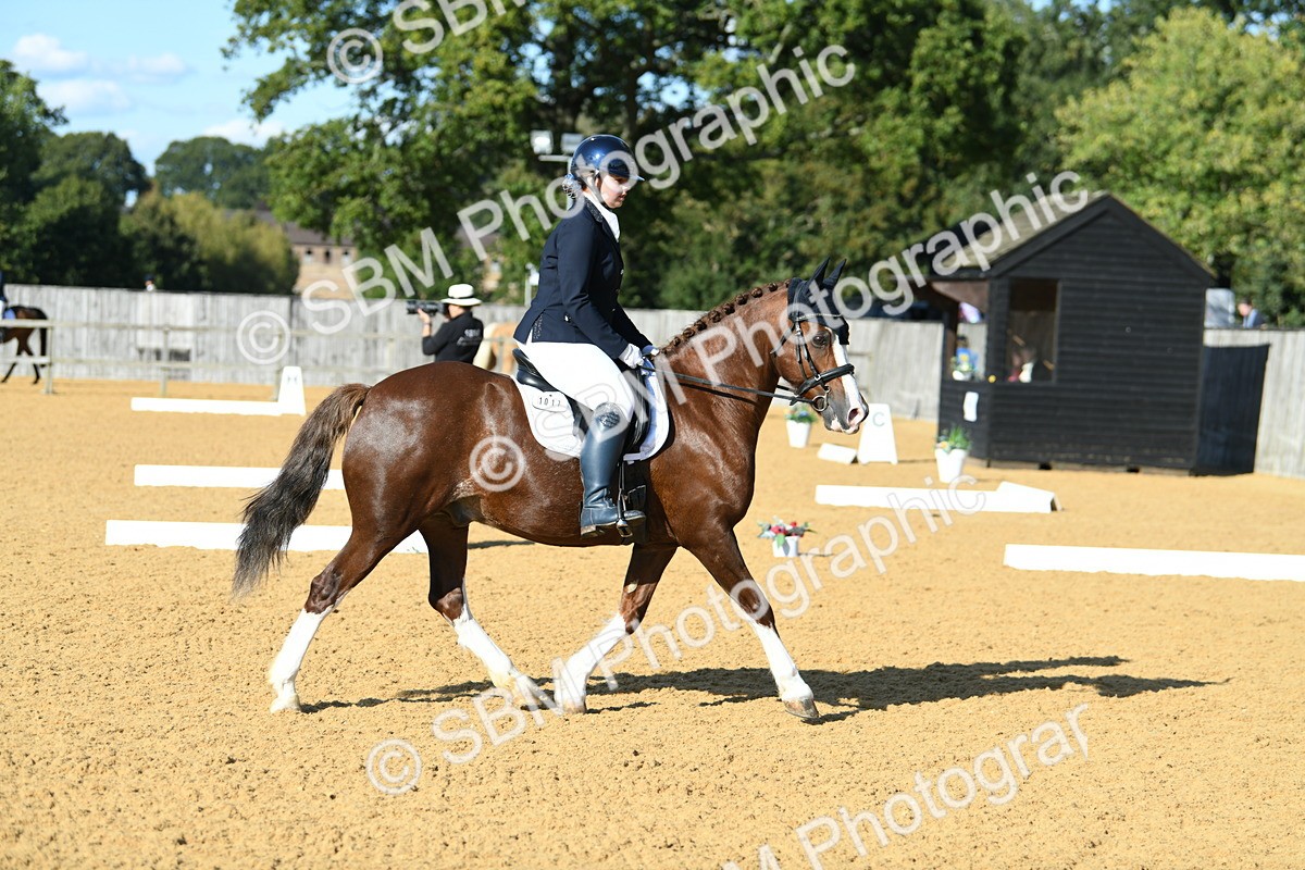 SBM_27218 - D16 - Small Tour Championship - Novice 28
