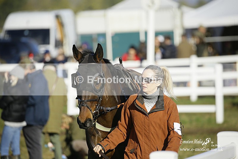 PtP 270222 410 - South & West Wilts Point-to-Point Larkhill 27/02/22