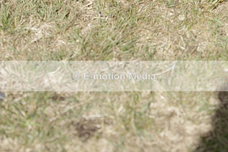 BVHT 140517 I-551 - Class 1 SJ Intermediate 14/05/17