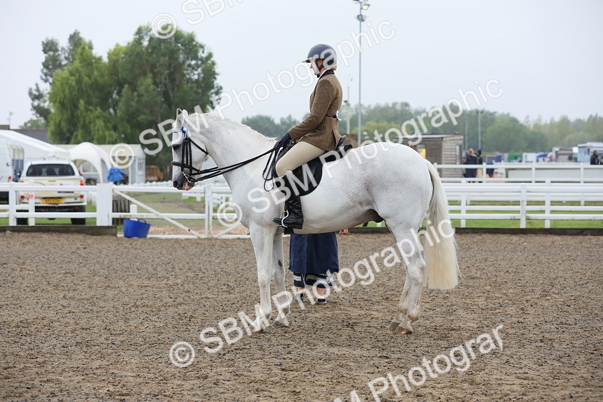 SBM_20026 - Class 802 - Ridden Groom - Helpers class