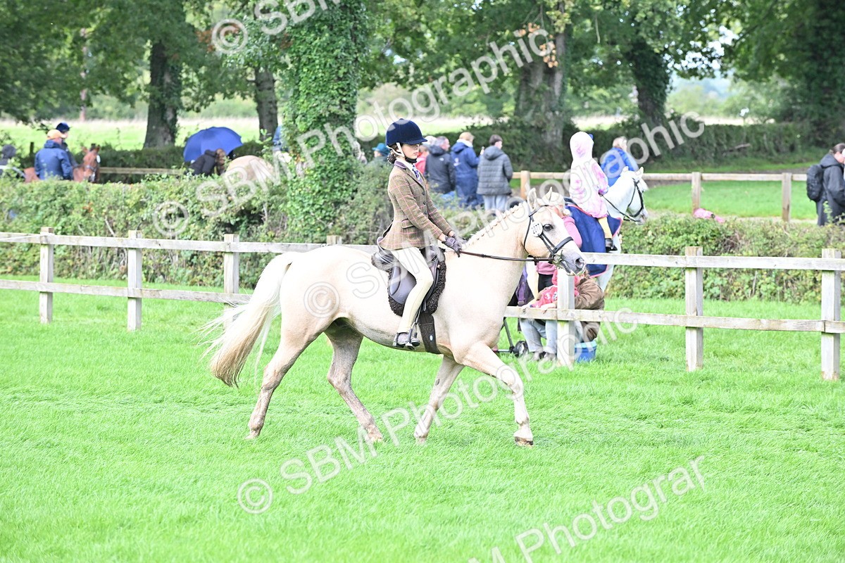 SBM_44500 - S13 - Pony Club Pony