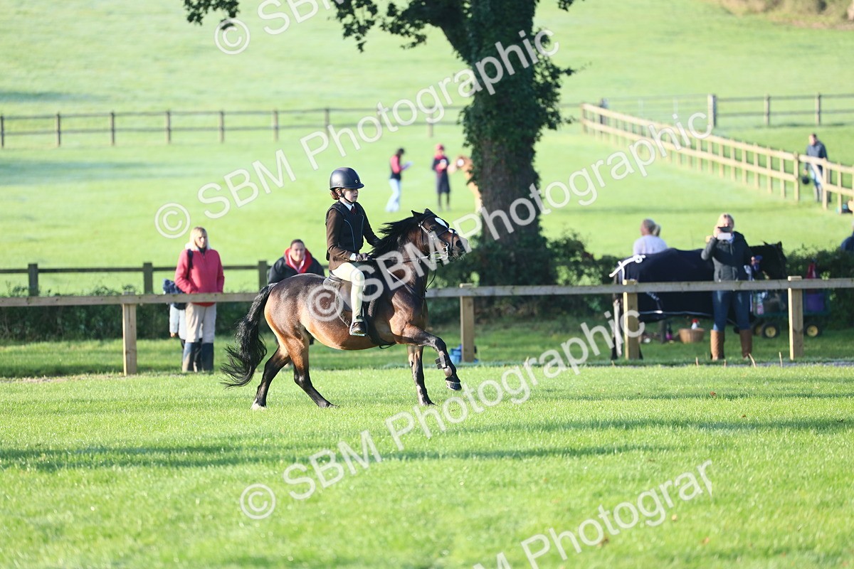 SBM_31890 - S28 - Nursery Stakes Working Hunter Pony