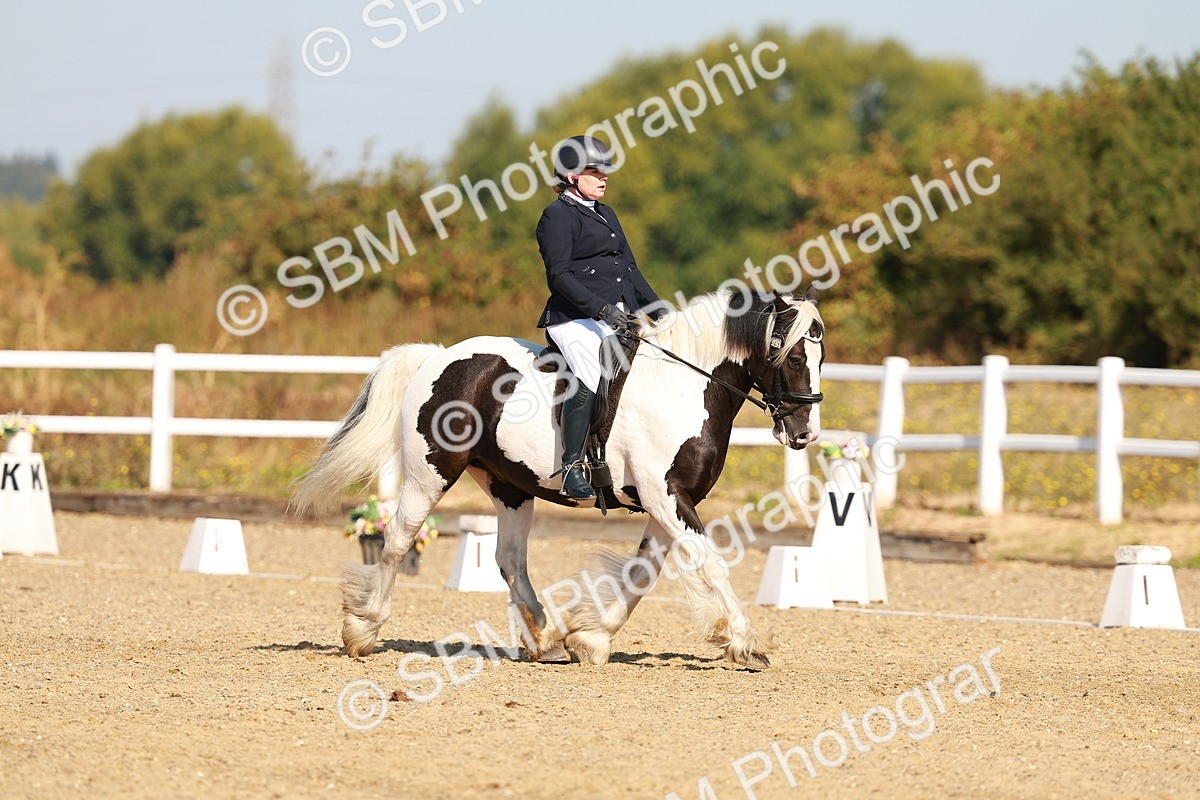 SBM_016759 - Class 9 - N5 Bronze 9.30.10.19