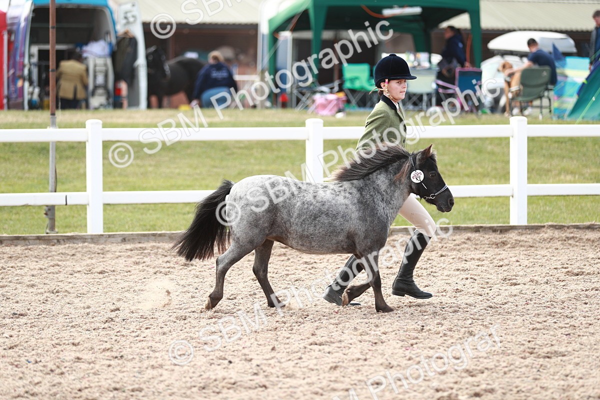 SBM_13844 - Class 209 IH Veteran Pony