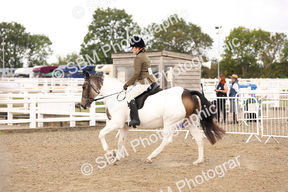 SBM_02887 - Class 53 - Ridden Competition Horse/Pony