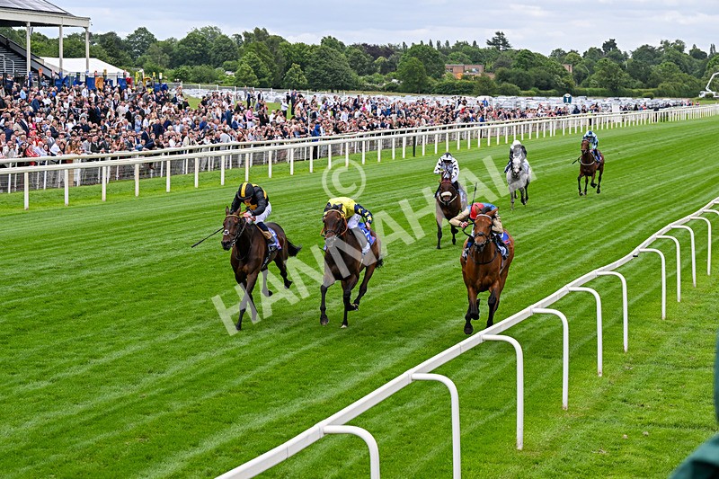 130626-Race 3-Gregory-0467 - Race 3 15.00pm Sky Bet Race To The Ebor Grand Cup Stakes