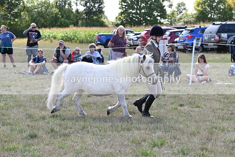 WJ6_4921 - Class 17 Mountain & Moorland