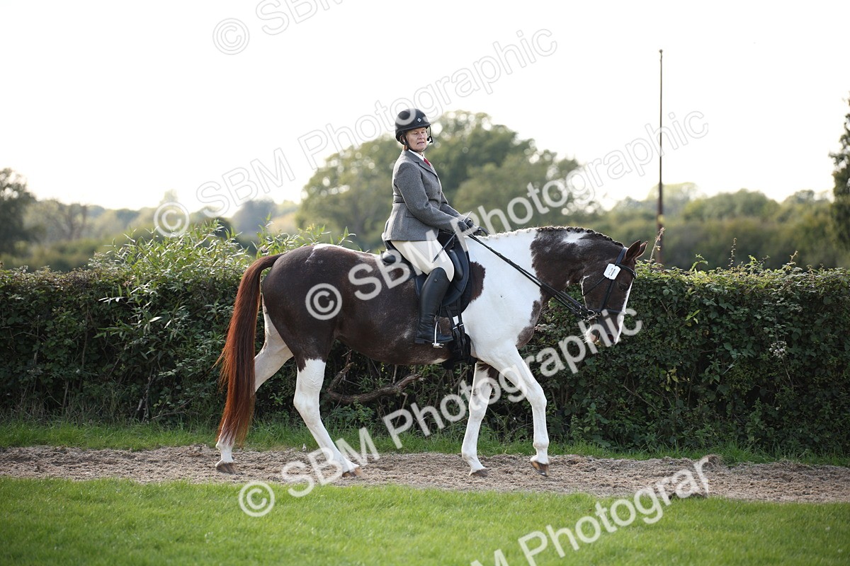 SBM_50104 - S26 - Young Veteran - Ridden