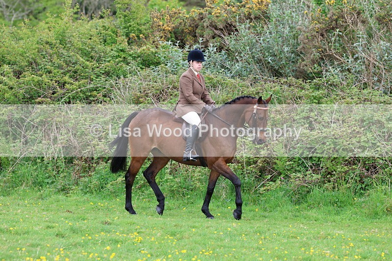 3E7A1416 - Class 8: Ridden Veteran Junoir and Senior