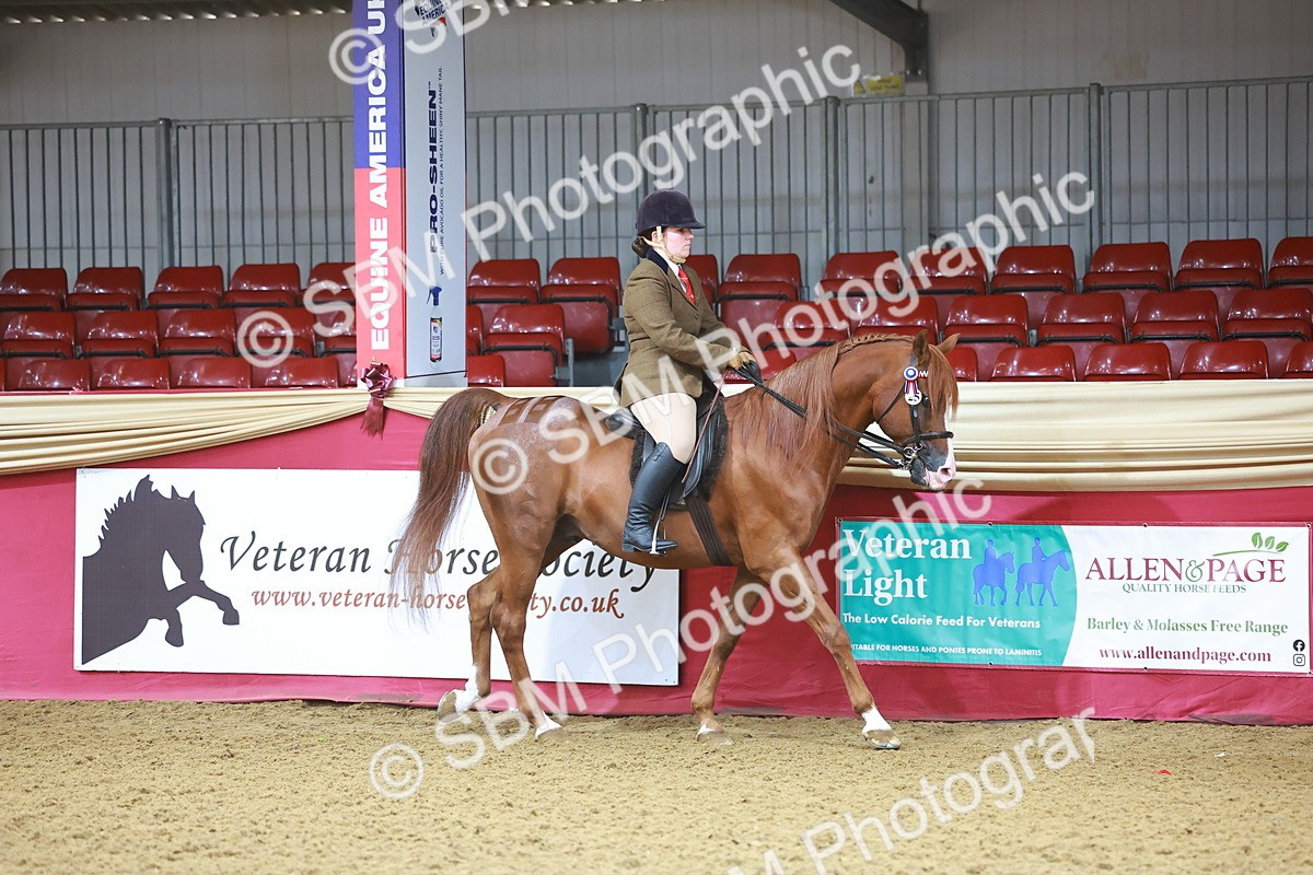 SBM_07554 - Class 101 - HOYS Veteran Qualifier - Ridden Diamond