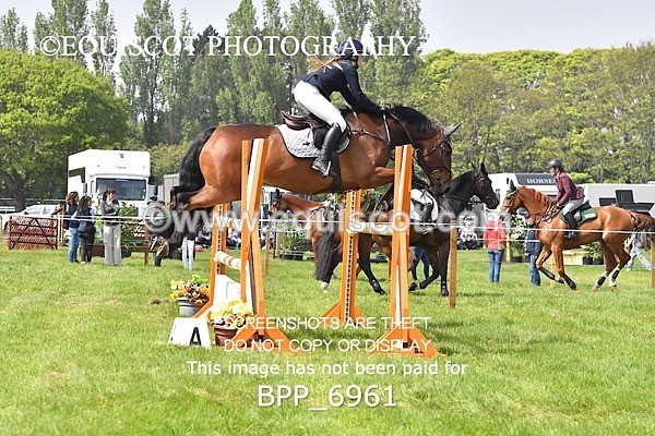BPP_6961 - CLASS 3 RHS Fox Champ Qual (1.20m)